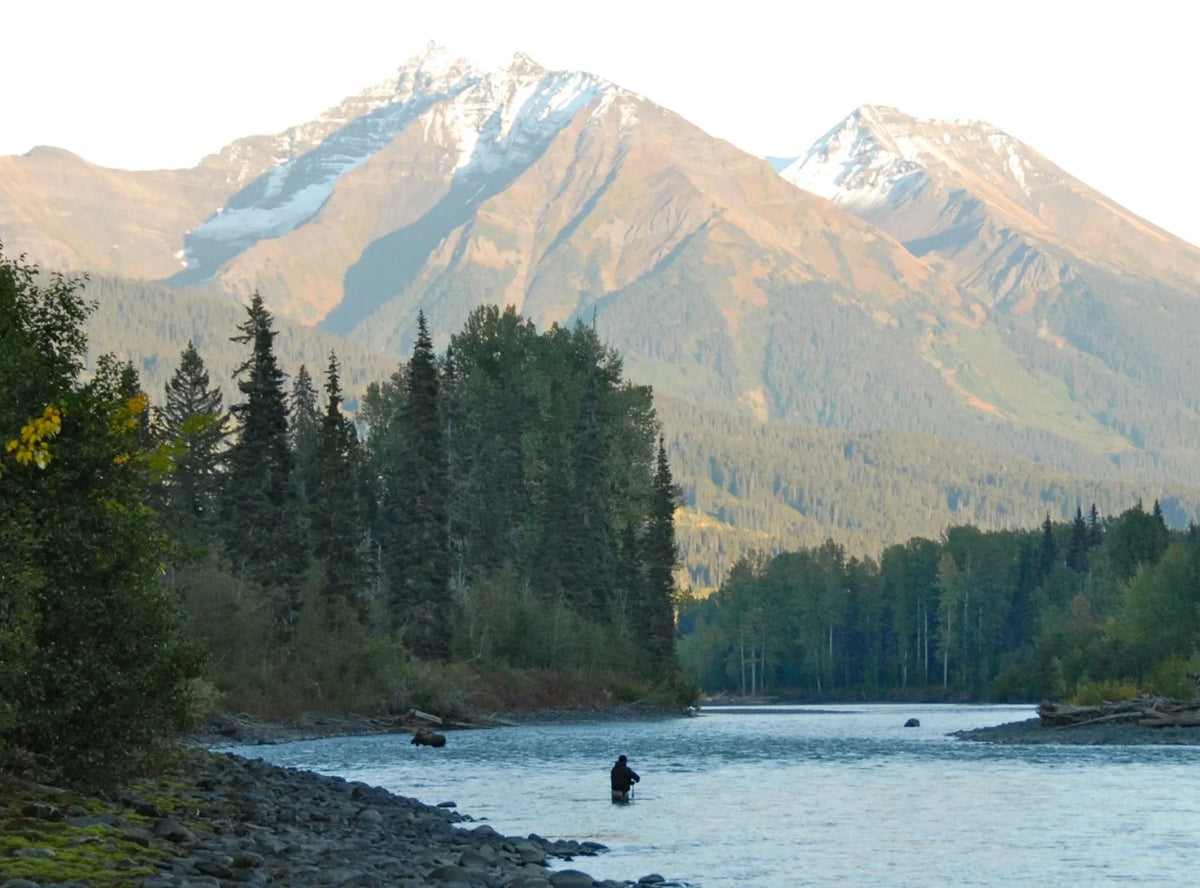 Sportfiskare flugfiskar i Skeena River med höga tallar och snöklädda berg i bakgrunden