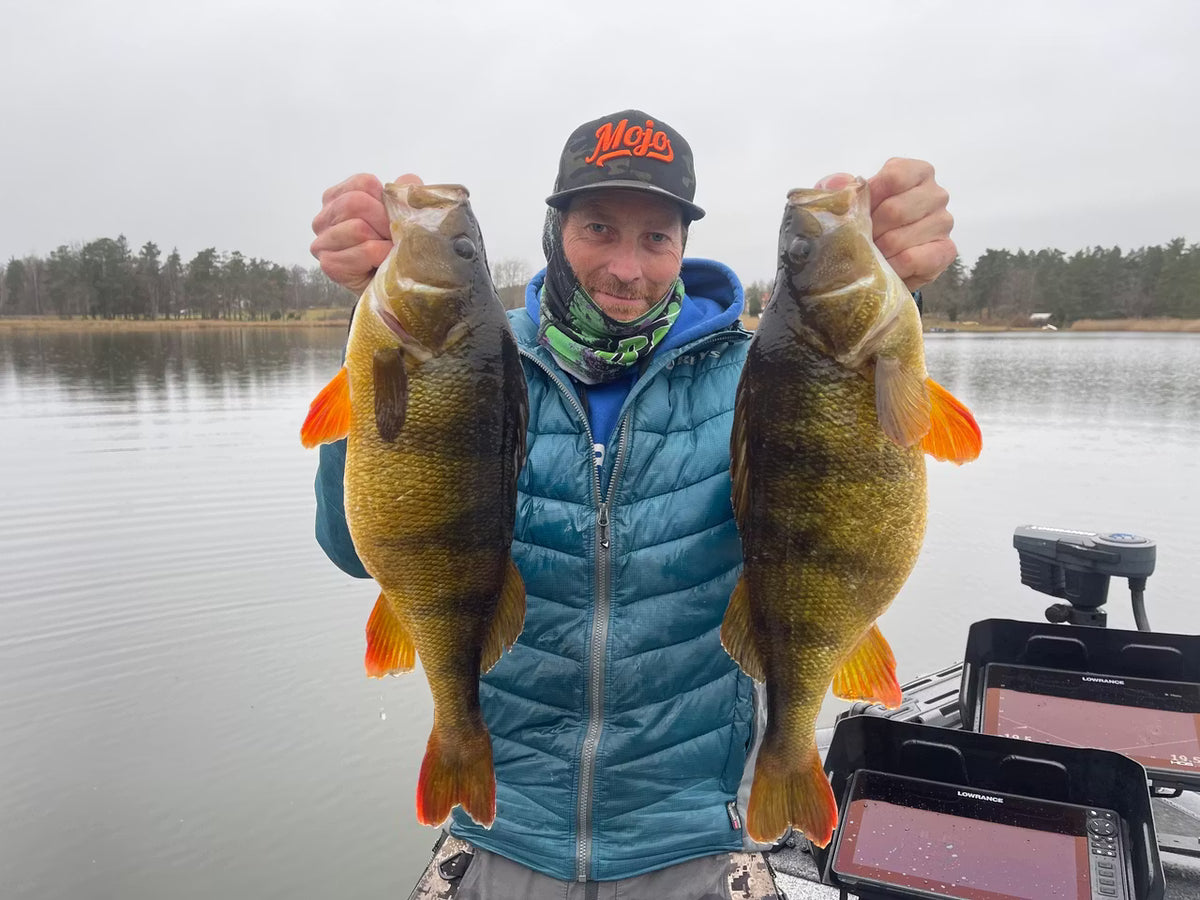 Sportfiskare i blå jacka visar två stora fiskar på båt under en lugn fiskeresa på sjö med skog i bakgrunden.