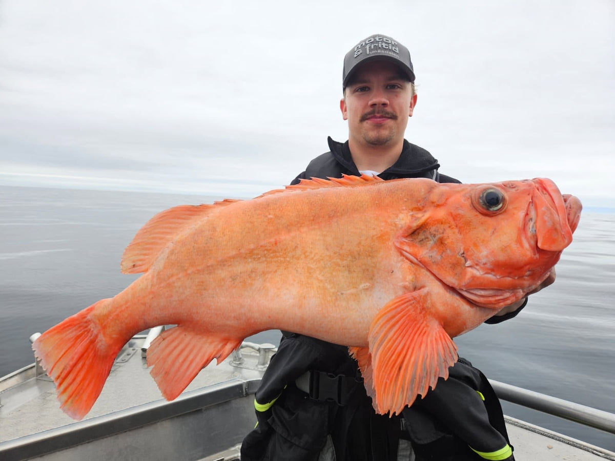 En person med keps och mörka kläder håller en stor orange fisk på en båt under en fisketur, med lugnt vatten och molnig himmel i bakgrunden – ett inspirerande ögonblick för alla som är intresserade av fiske.