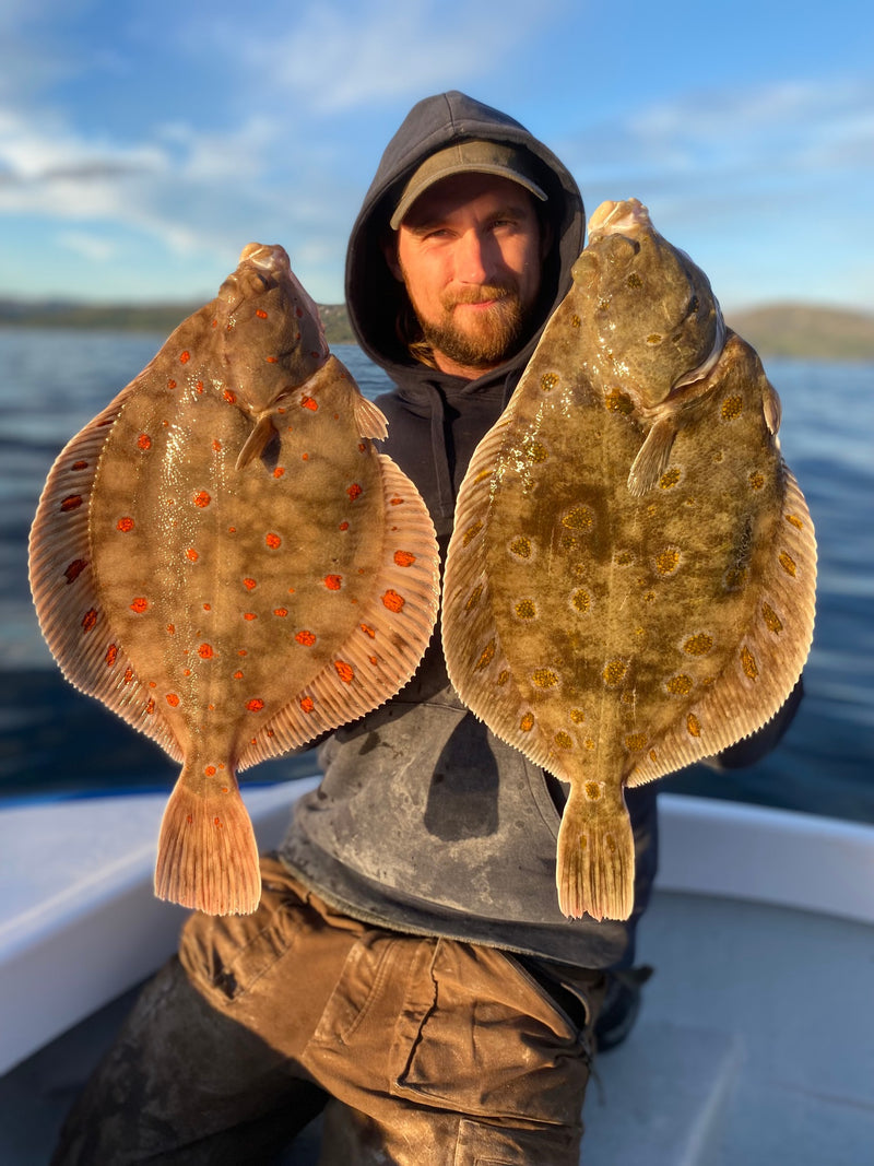 En man i en huvtröja visar upp två stora plattfiskar med tydliga prickmönster ombord på en fiskebåt under en fisketur, med vatten och himmel i bakgrunden.