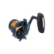 Daiwa 25 Saltiga G 35L