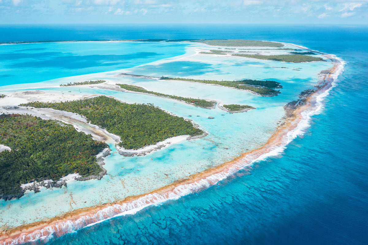 
Palmer och strand på tropisk fiskeresa i Franska Polynesien