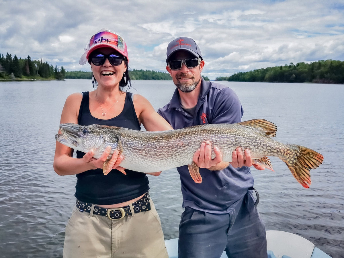Gäddfiske i Lake of the Woods i Ontario, Kanada
