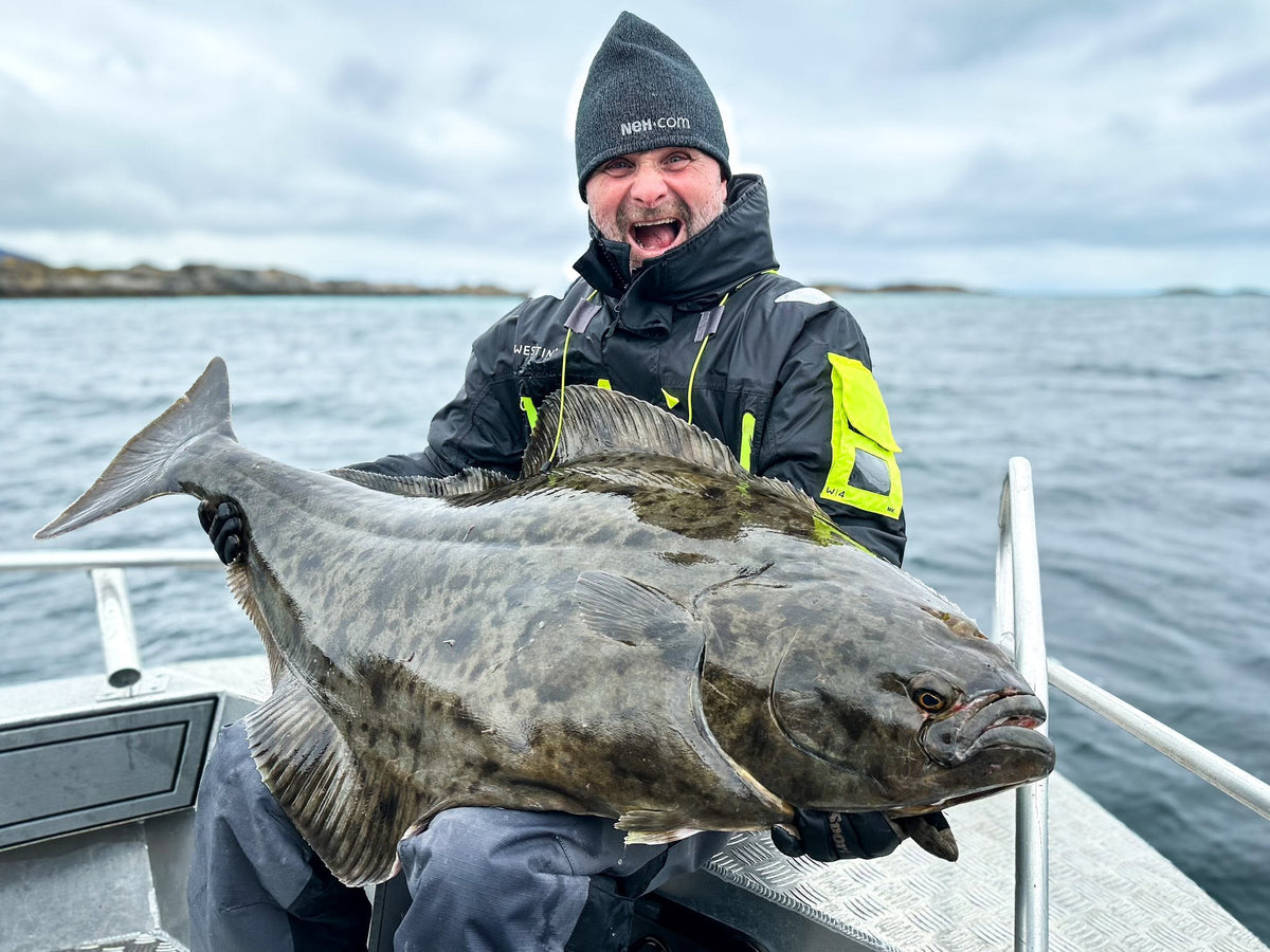 Hälleflundra fångad under havsfiske i Nappstraumen, Lofoten