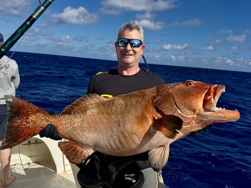 Coral trout med kraftiga färger efter fångst vid Rodrigues
