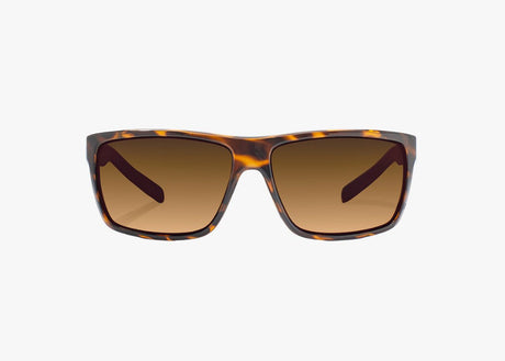 Bajio Sigs - Glass - Brown Tort Gloss Copper