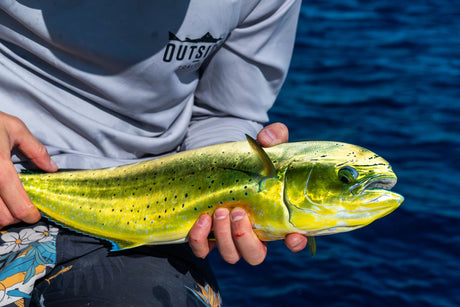 Fiskare i Outside Travels-tröja håller en färgstark dorado (guldmakrill) – bifångst vid fiske i Spanien
